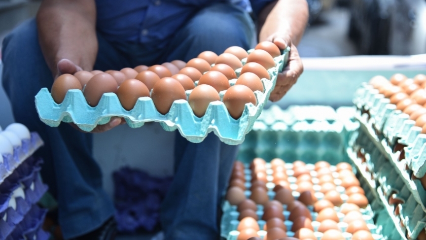 أسباب ارتفاع أسعار البيض