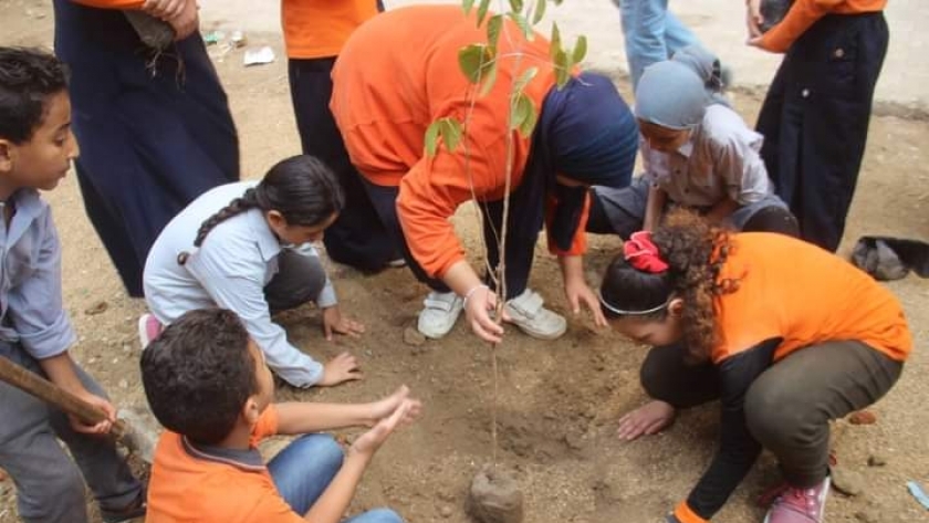 مبادرة رزاعة 50 ألف شجرة مثمرة