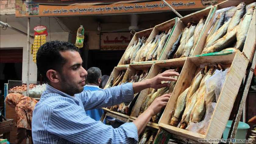 المصريون يعشقون «أكل» الرنجة