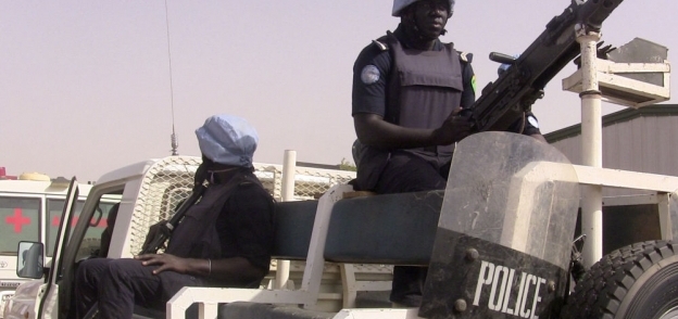 الشرطة في مالي