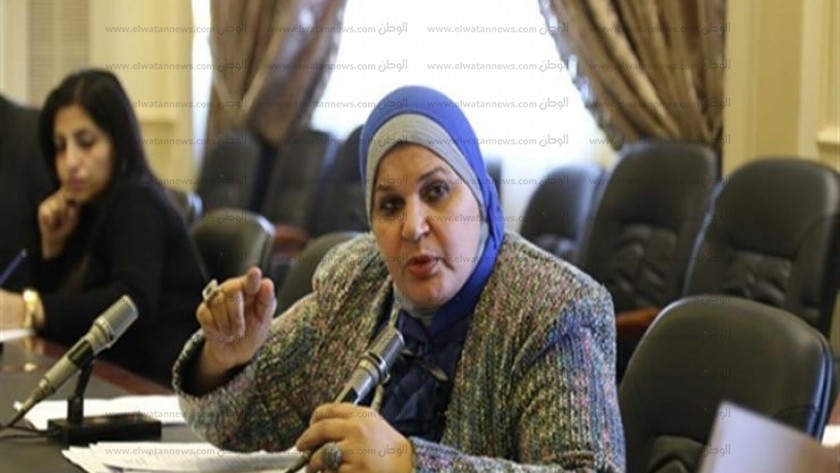 النائبة مايسة عطوة، وكيل لجنة القوى العاملة بمجلس النواب