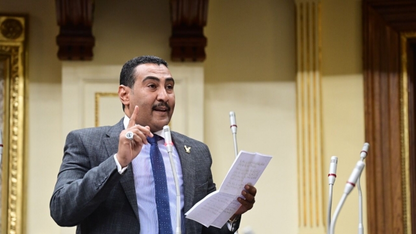 النائب محمد الجبلاوي - عضو لجنة الطاقة والبيئة بمجلس النواب