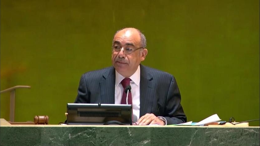 انتخاب مصر لرئاسة لجنة الأمم المتحدة لبناء السلام