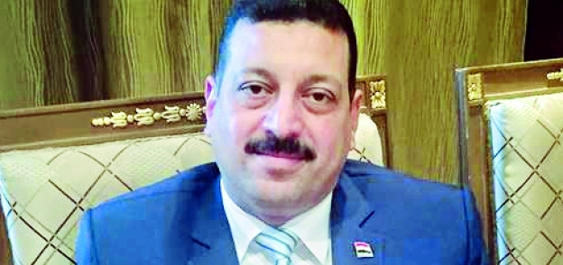 أيمن حمزة - المتحدث باسم وزارة الكهرباء