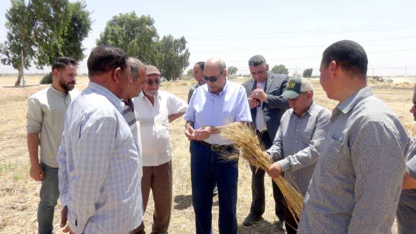 رئيس جامعة المنيا يتابع حصاد القمح