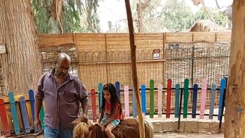 الأطفال يلعبون مع الحيوانات داخل حديقة الطفل