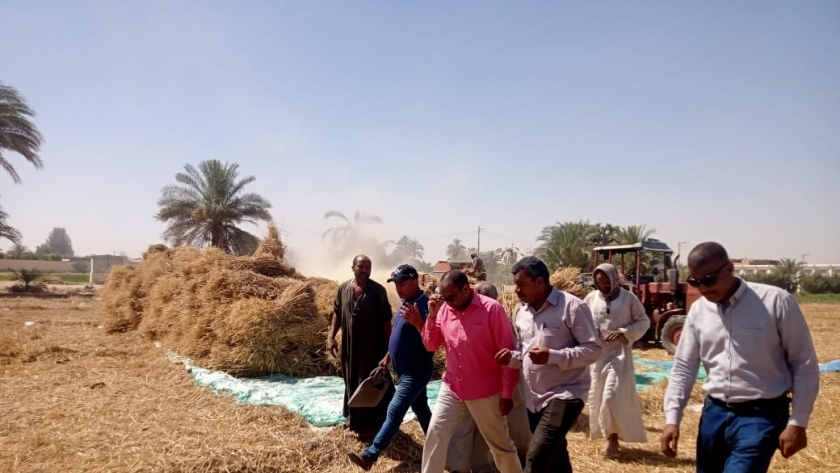 د انور عيسى وقيادات وزارة الزراعة خلال جولات ميدانية على حقول القمح في الأقصر