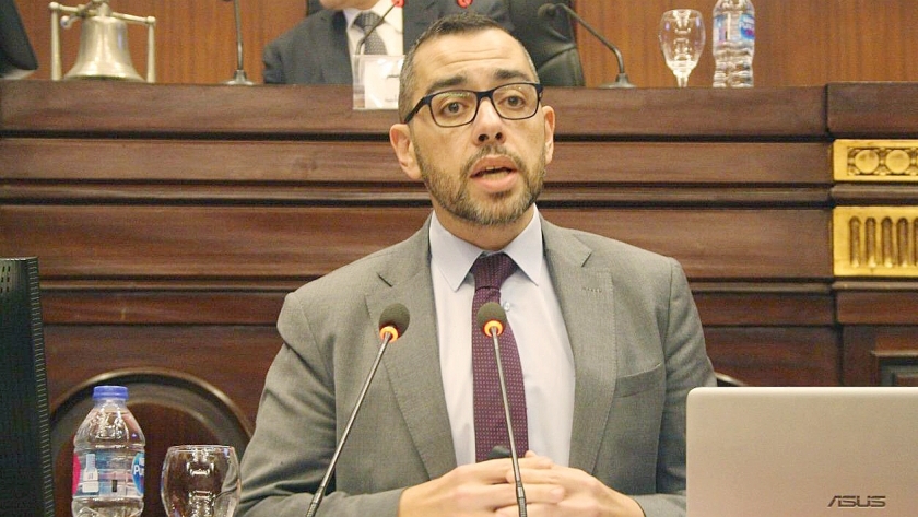 الدكتور محمد فؤاد عضو مجلس النواب