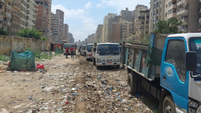 رفع القمامة من محيط قطار أبو قير