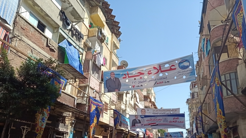 لافتات المرشحين في شوارع الإسكندرية
