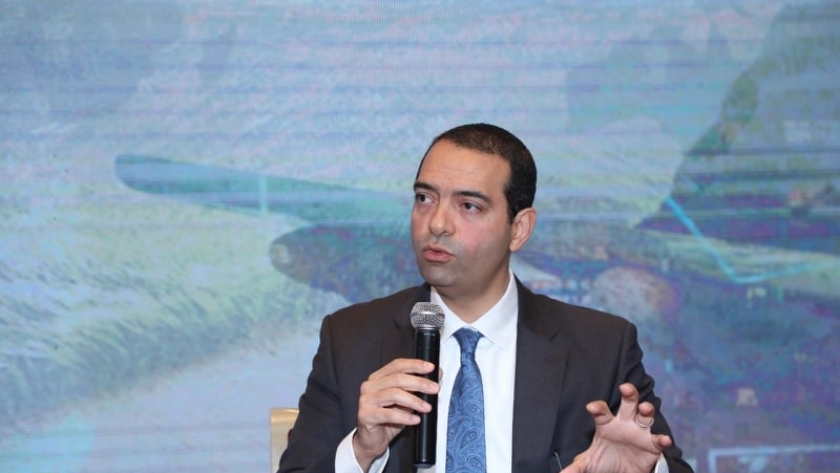 أيمن سليمان، المدير التنفيذي للصندوق السيادي