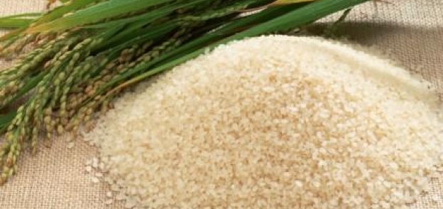 غرفة الحبوب: لازيادة في أسعار المكرونة..والأرز تراجع 10%