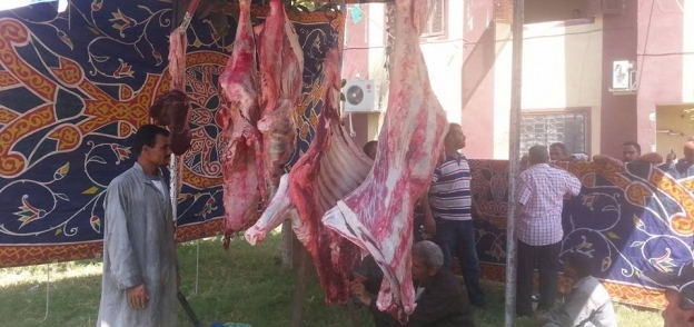 فتح شادر للحوم بكفر الشيخ