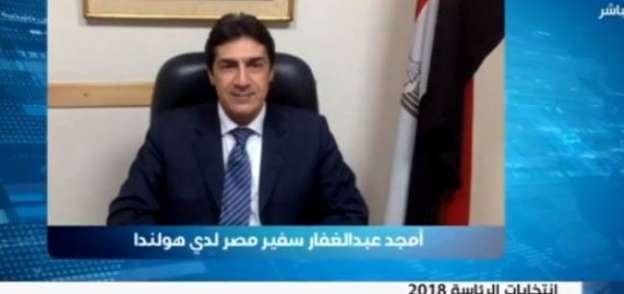 أمجد عبدالغفار - سفير مصر في هولندا