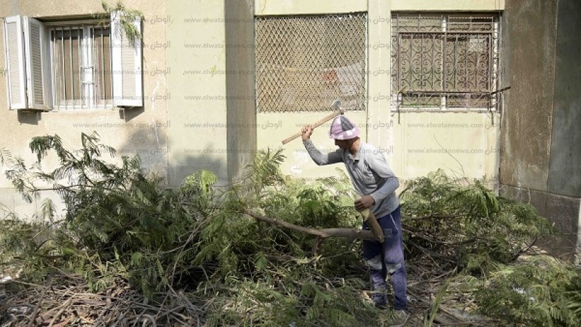 أجهزة مدينة الشيخ زايد أثناء عملية قطع الأشجار التى أثارت غضب الأهالى