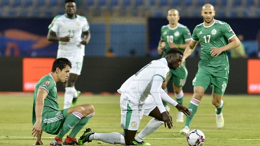 لقطة من مباراة الجزائر والسنغال في المجموعات بكأس الأمم الأفريقية