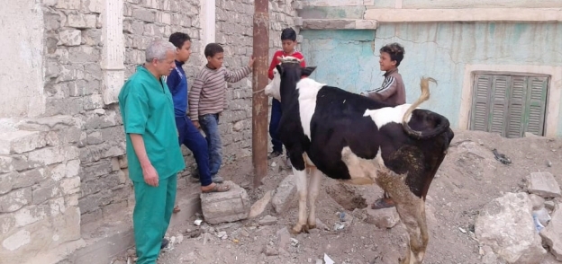 الكشف على "74 مريض و110 ماشية ودواجن" ضمن قافلة جامعة الإسكندرية