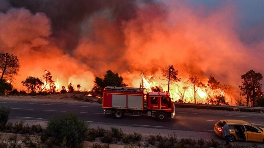 حرائق الغابات في ولاية بجاية الجزائر