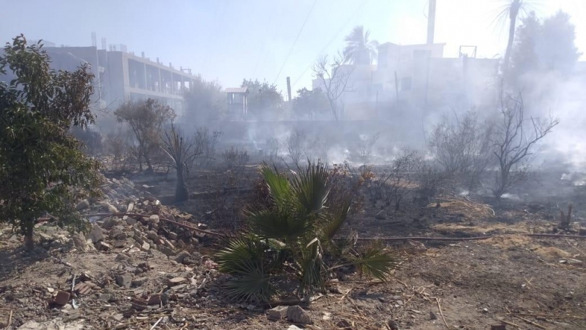 حريق بجامعة المنيا