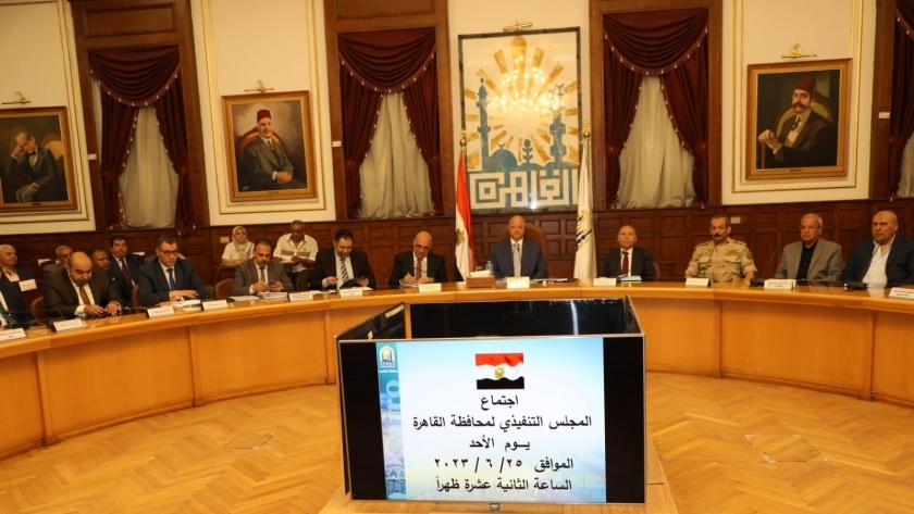اجتماع المجلس التنفيذي بالقاهرة