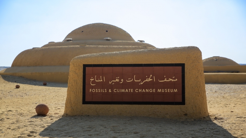 متحف الحفريات وتغير المناخ بوادي الحيتان بالفيوم