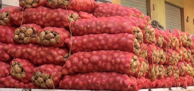 استقرار أسعار الخضروات في سوق العبور