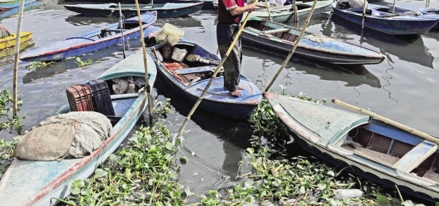 صيادو الإسكندرية يشكون من نفوق الأسماك فى بحيرة مريوط