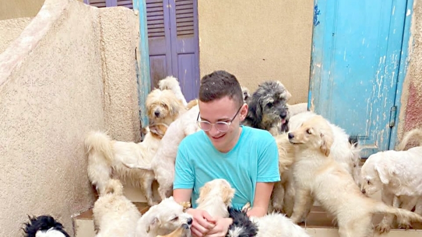 متطوع يداعب عدداً من الكلاب داخل «شلتر»