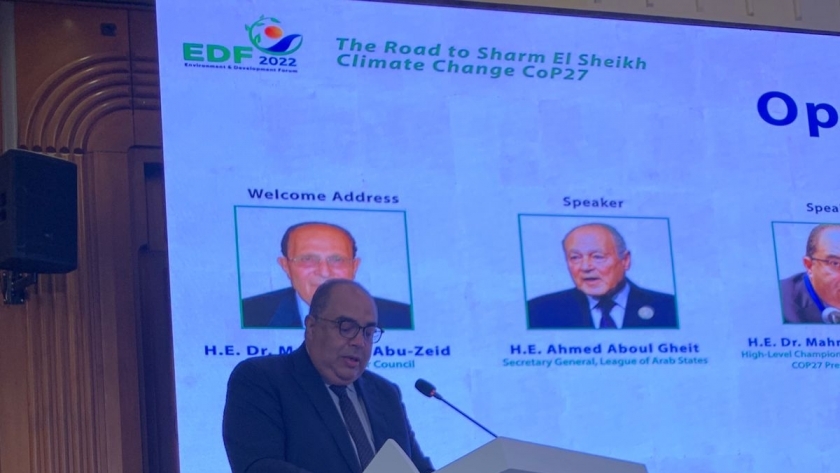 الدكتور محمود محيى الدين خلال إلقاء كلمته بمنتدى البيئة
