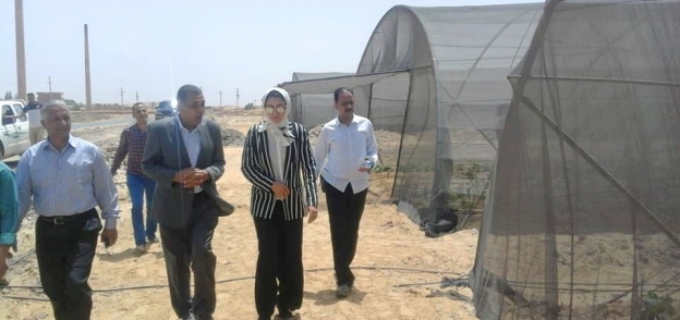 نائب محافظ الوادي الجديد تتفقد مشروع تدوير مخلفات النخيل بقرية الدهوس