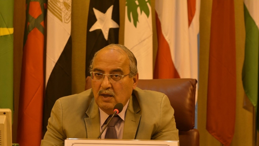 الدكتور مجدي علام أمين عام اتحاد خبراء البيئة العرب