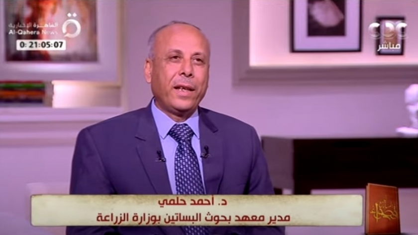 الدكتور أحمد حلمي مدير معهد بحوث البساتين بوزارة الزراعة واستصلاح الأراضي