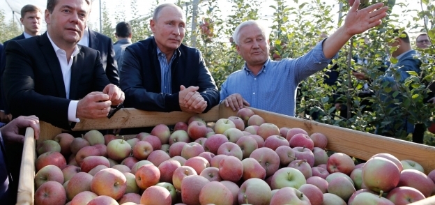 بوتين يحضر هدية "لذيذة" للسيسي ويطلب من السعودية والإمارات تذوقها