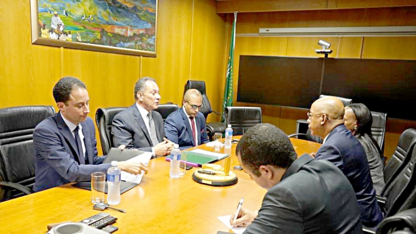 سفير مصر لدى جنوب أفريقيا يلتقي بالمدير التنفيذي لوكالة الاتحاد الأفريقي للتنمية نيباد