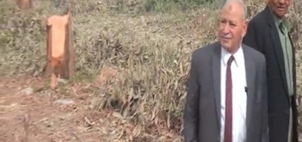 المهندس حسن جودة، وكيل وزارة الزراعة بالفيوم داخل الأرض التي قطعت أشجار المانجو بها