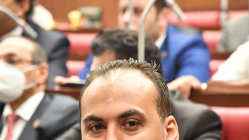 النائب محمد الرشيدي، عضو مجلس الشيوخ
