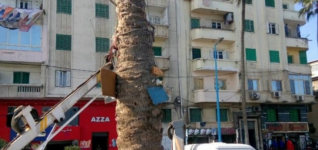 رفع كفاءة الإضاءة بنطاق حي الجمرك بالإسكندرية