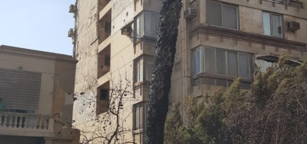 حريق عقار شارع دمشق