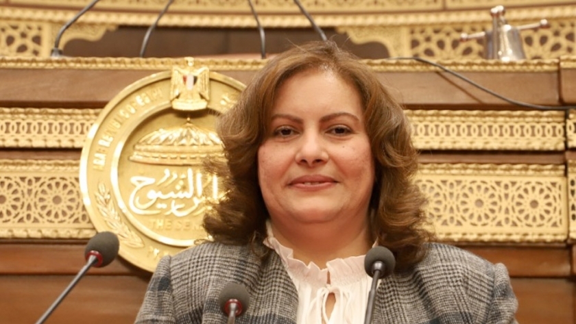 الدكتورة النائبة عايدة نصيف ، أمين سر لجنة العلاقات الخارجية بمجلس الشيوخ