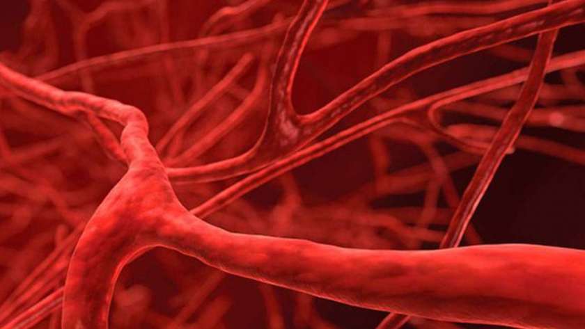تأثير كورونا على الأوعية الدموية