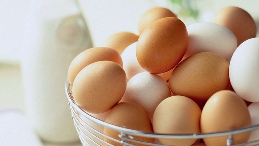 البيض- صورة تعبيرية