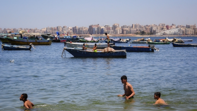 مواطنين يستحمون في شواطئ الإسكندرية