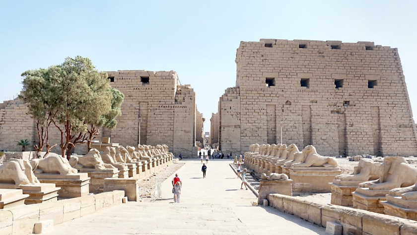 إعادة افتتاح طريق الكباش جذبت محبي الآثار المصرية من مختلف دول العالم