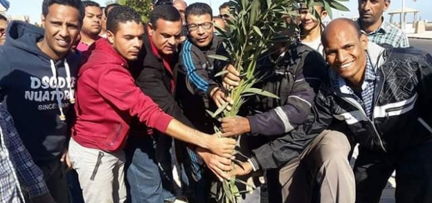بالصور| شباب البحر الأحمر يطلق حملة شعبية لزرع "سفاجا" بالأشجار المثمرة