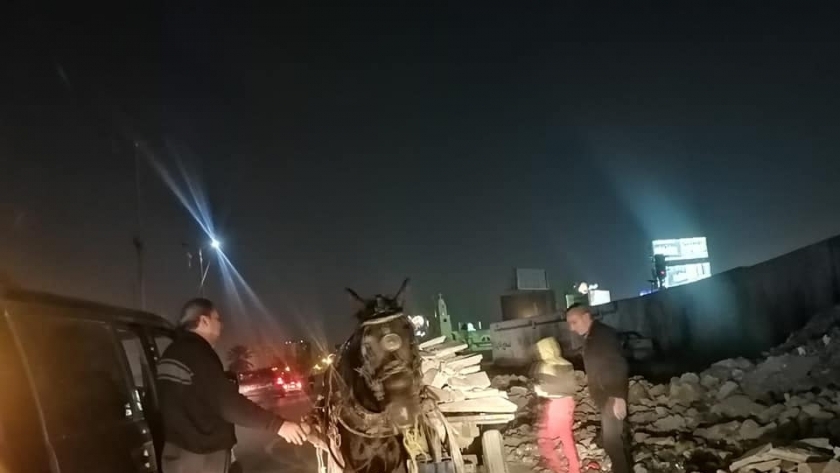 مصادرة الحصان والكارو بسبب المخلفات