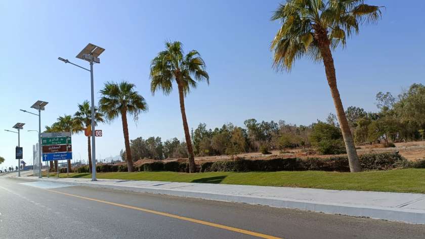 مدينة شرم الشيخ تتحول للأخضر