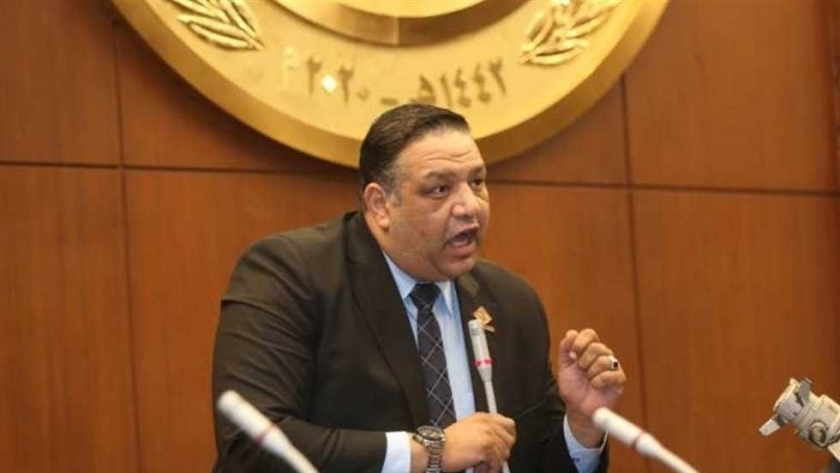 محمد عزمي ، عضومجلس الشيوخ عن تنسيقية شباب الأحزاب والسياسيين