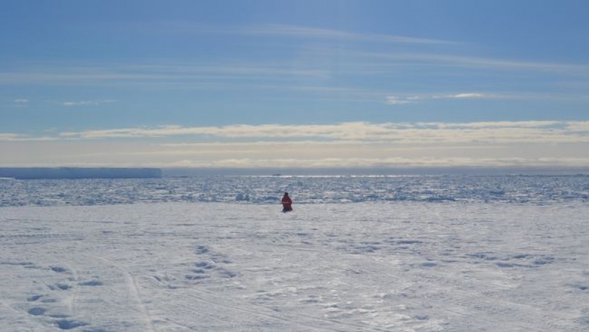 كورونا يحاصر 100 باحث على متن سفينة في القطب الشمالي