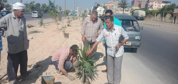 تجريف وزراعة أشجار بالطريق الصحراوي غرب الإسكندرية