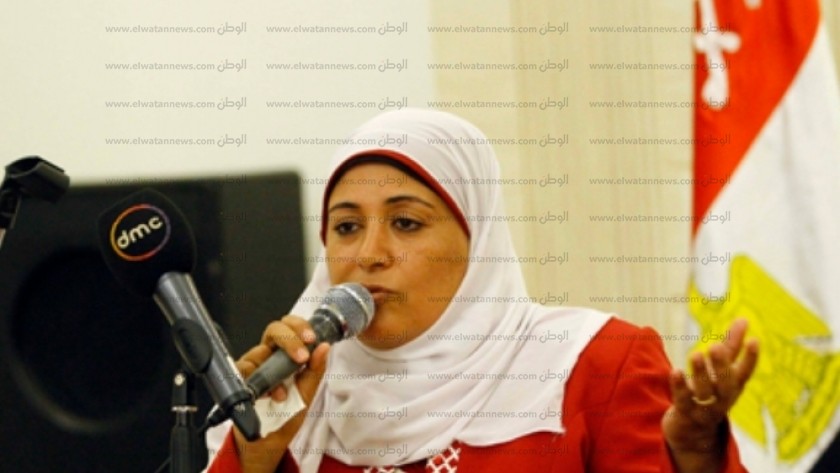 النائبة ثريا الشيخ، عضو لجنة الطاقة والبيئة بمجلس النواب